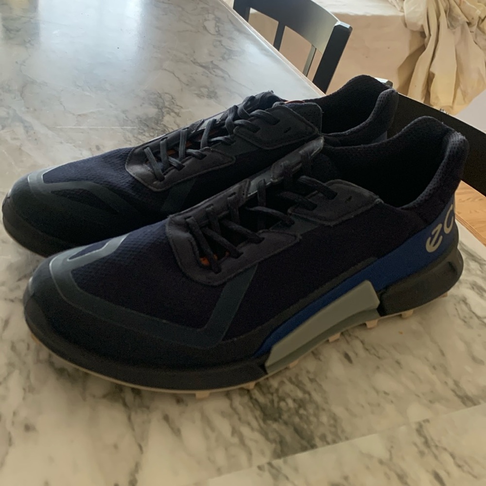 Ecco Biom 2.1 shoe  Gore-tex